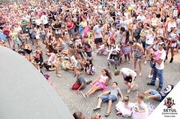 Foto - Carnaval Cerquilho 2018