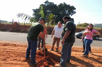 Foto - Semana da Independência em Cerquilho