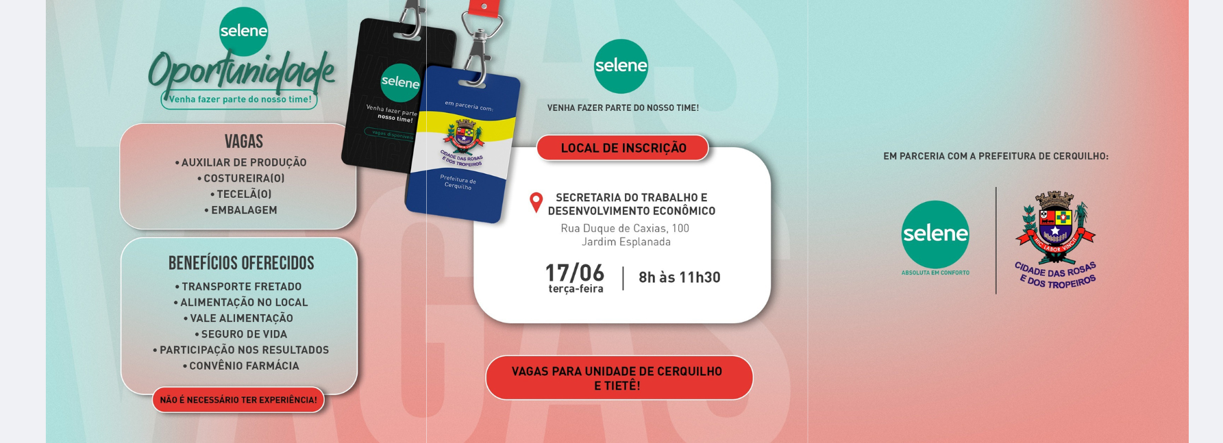 Oportunidade de emprego na empresa Selene! Veja mais
