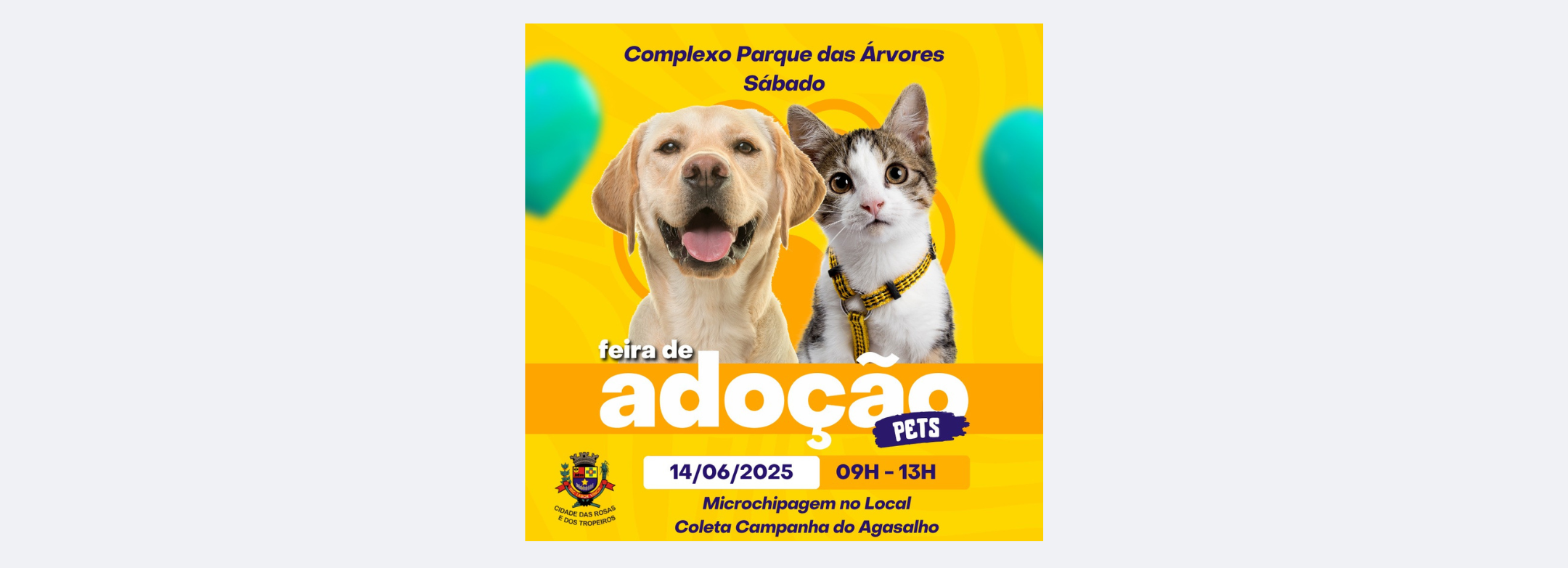 Feira de Adoção no Parque das Árvores! Neste sábado, 14/06, das 9h às 13h. Veja mais