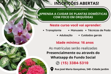 vagas abertas e limitadas para o curso profissionalizante “Aprenda a Cuidar de Plantas Domésticas com Foco em Orquídeas”!