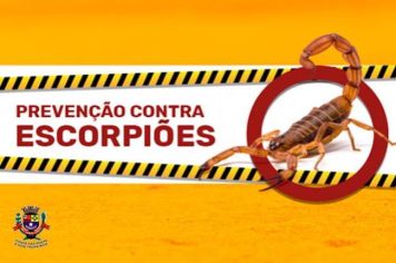 A Prefeitura de Cerquilho, por meio do Setor de Zoonoses faz um alerta a população sobre o aumento de Escorpiões. 