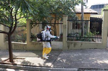 Prefeitura informa sobre aumento dos casos de dengue e mutirões pelos bairros mais atingidos pela doença