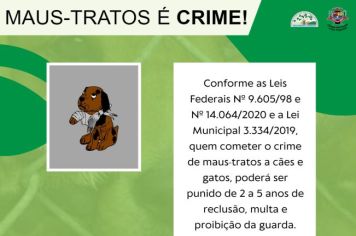 MAUS-TRATOS É CRIME!