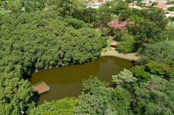Secretaria do Meio Ambiente planta mais de 150 árvores nativas e analisa água do Córrego Chiquinho Antunes