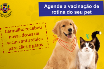 Tutores de cães e gatos podem agendar a vacinação antirrábica no Setor de Zoonoses em Cerquilho