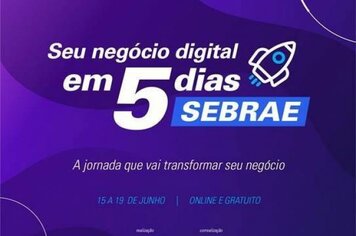 Sebrae aqui apresenta: “Seu Negócio Digital em 5 dias”