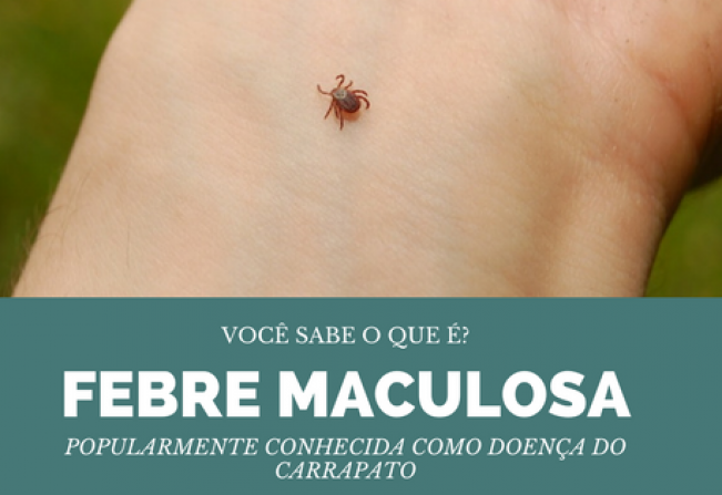 Prefeitura de Cerquilho informa sobre Febre Maculosa (Febre do Carrapato)