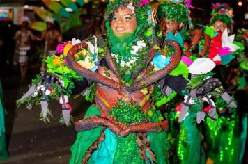 Foto - Carnaval de Cerquilho 2026