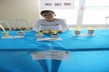 Foto - IV Feira de Ciências de Cerquilho