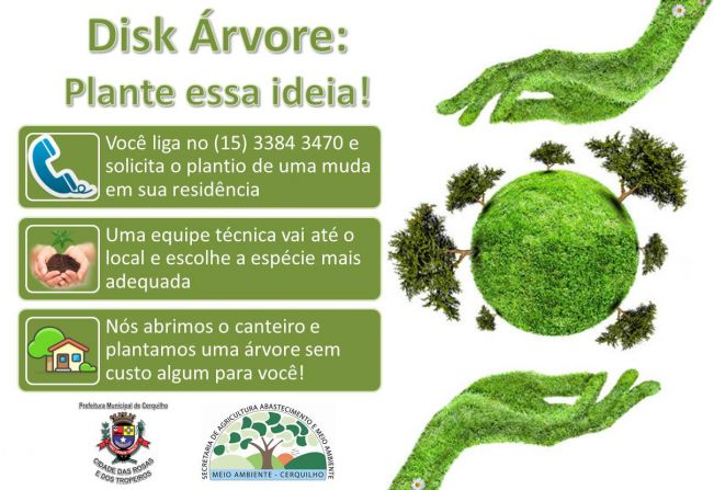 Disk Árvore: plante essa ideia!